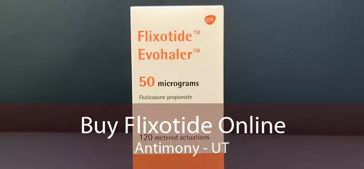 Buy Flixotide Online Antimony - UT