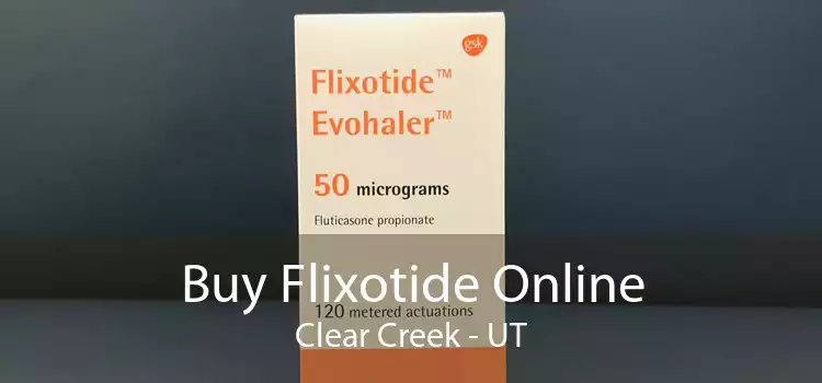 Buy Flixotide Online Clear Creek - UT